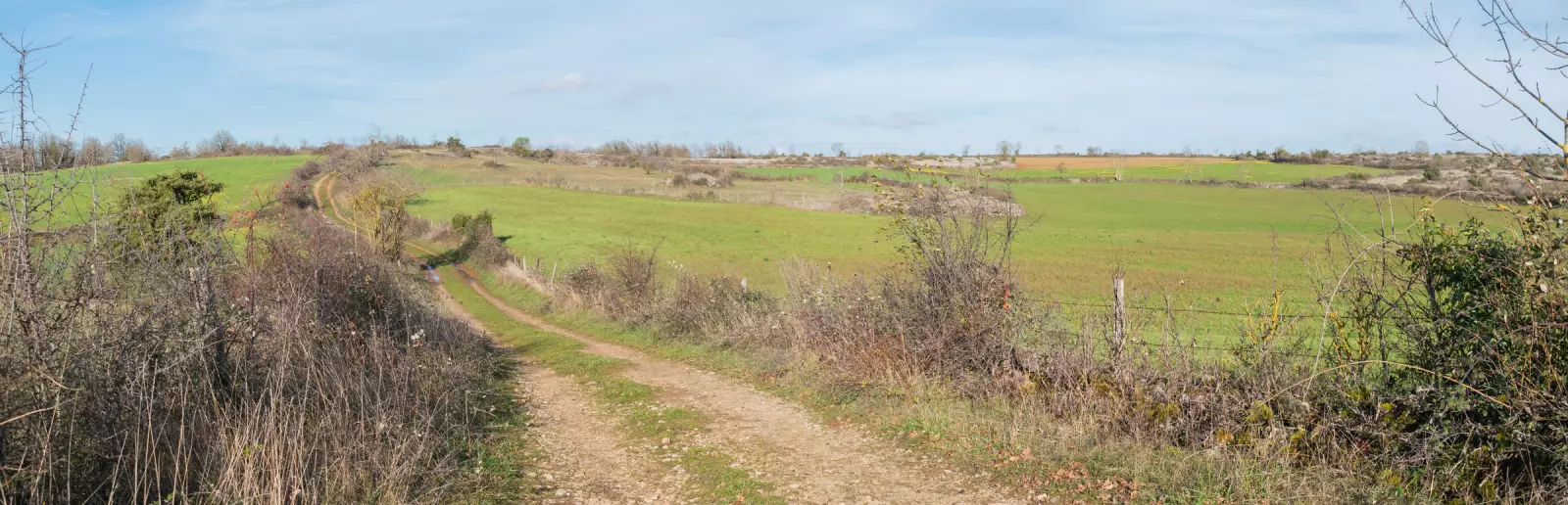 Chemin de terre à travers les prairies ouvertes du Causse Comtal, en Aveyron