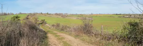 Chemin de terre à travers les prairies ouvertes du Causse Comtal, en Aveyron